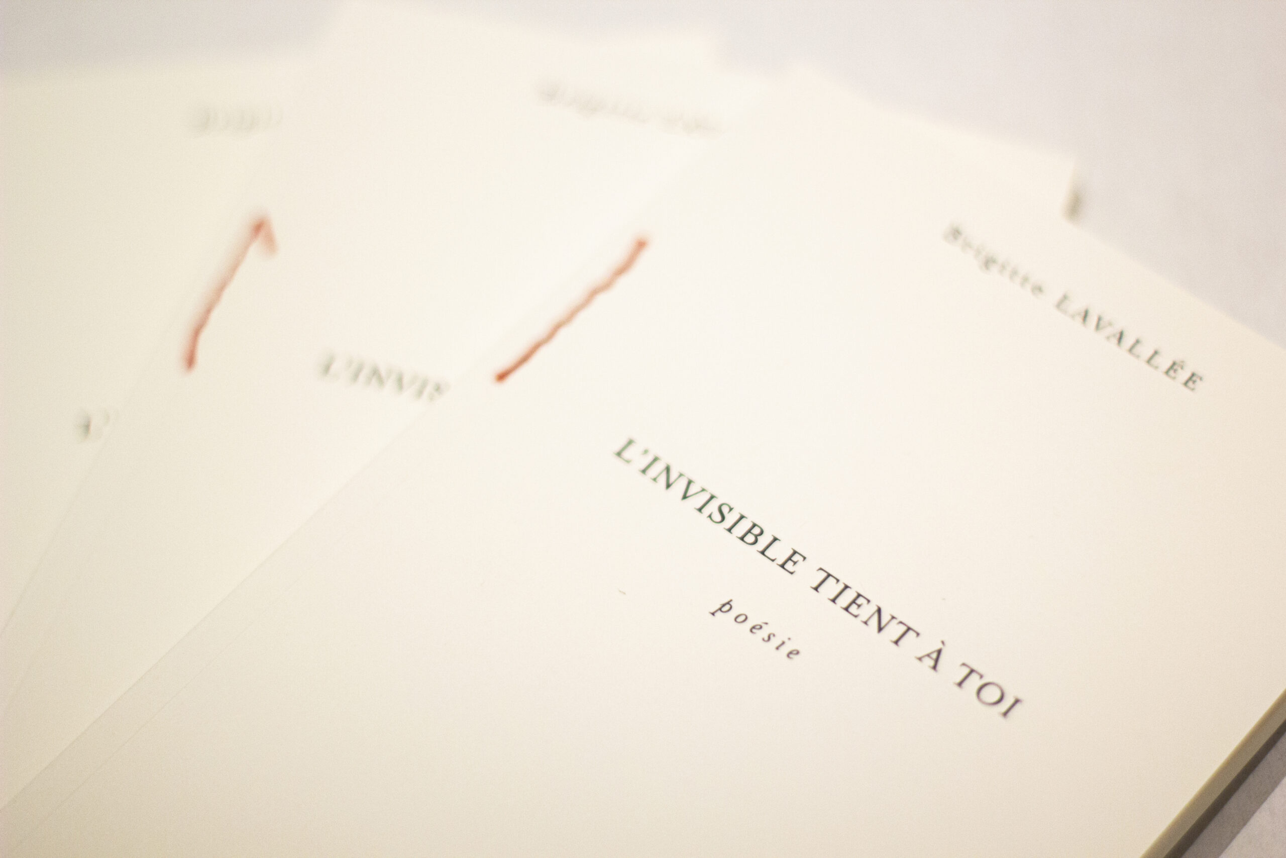 l-invisible-tient-a-toi-couverture-2